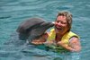 Dolphins, Cozumel 2015 - 1.jpg