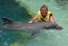 Dolphins, Cozumel 2015 - 0.jpg