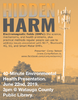 Hidden Harm Flyer.png
